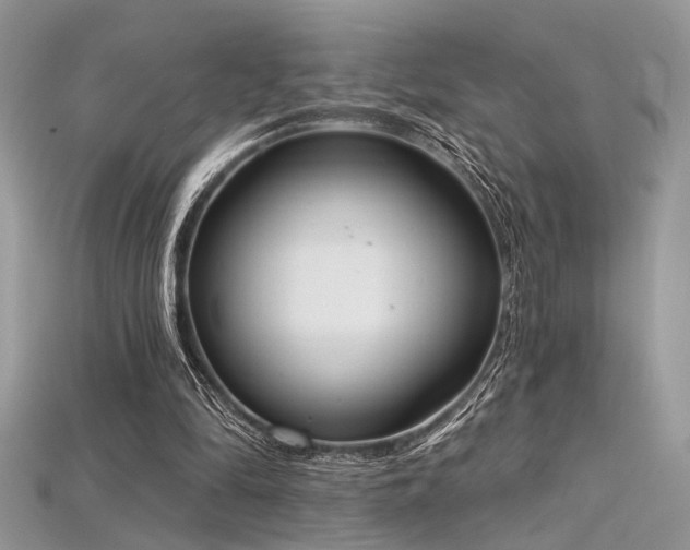 X0000115710294200911121431