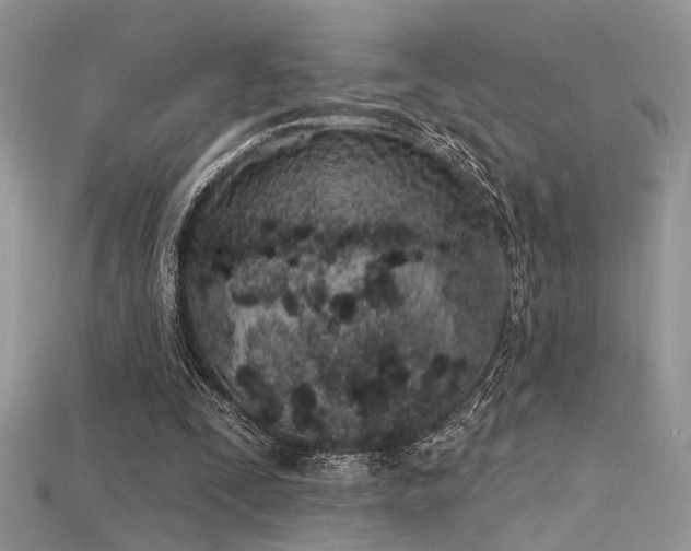 X0000115710295200911121431