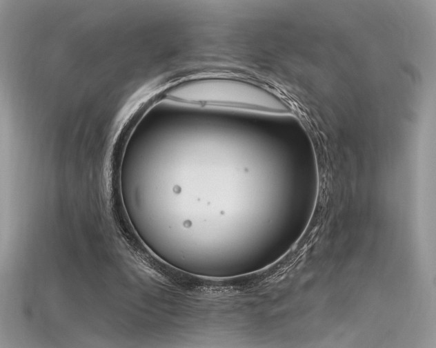 X0000115710296200911121431