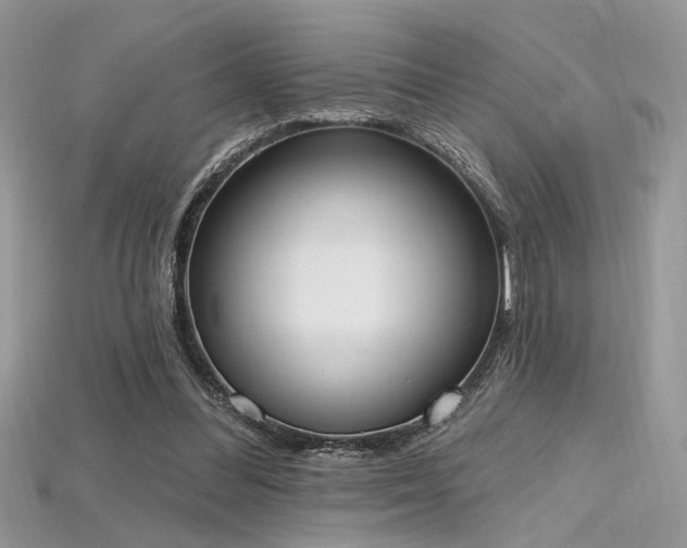 X0000115710300200911121431