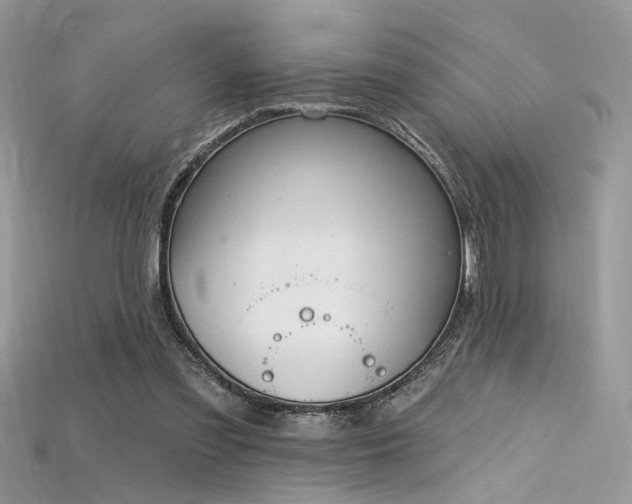 X0000115710301200911121431