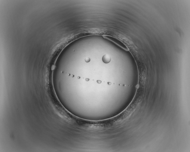 X0000115710303200911121431