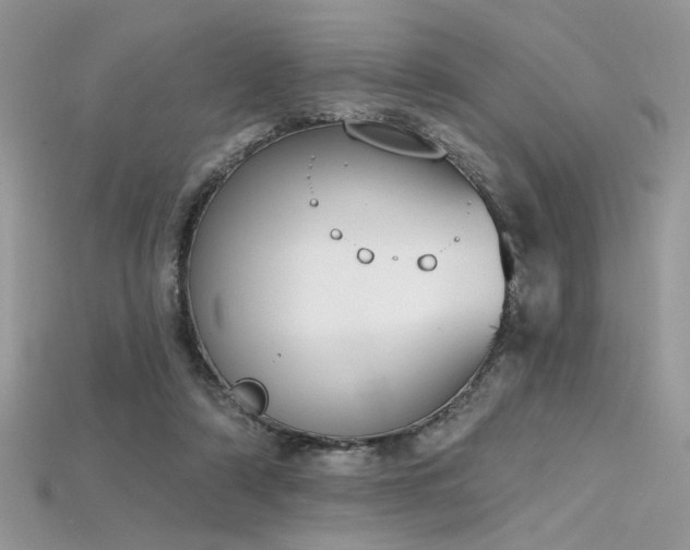 X0000115710306200911121431