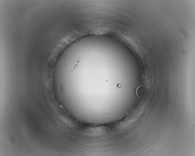 X0000115710307200911121431