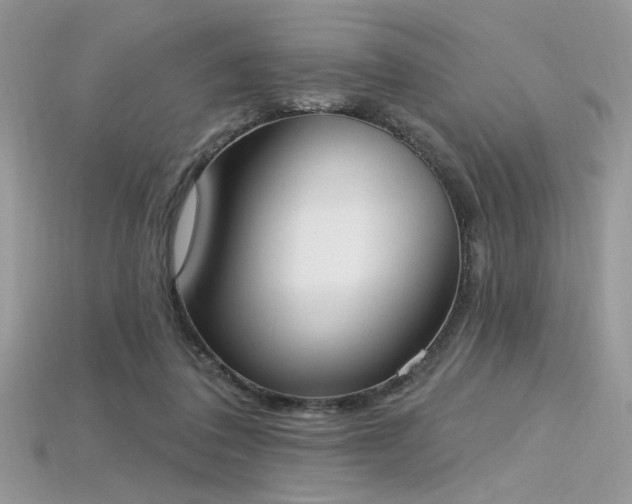 X0000115710308200911121431