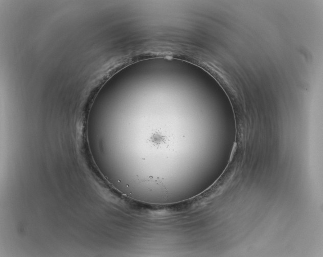 X0000115710309200911121431