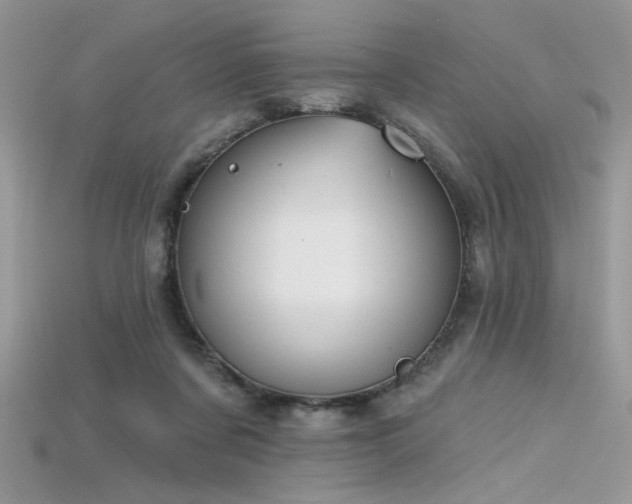 X0000115710311200911121431