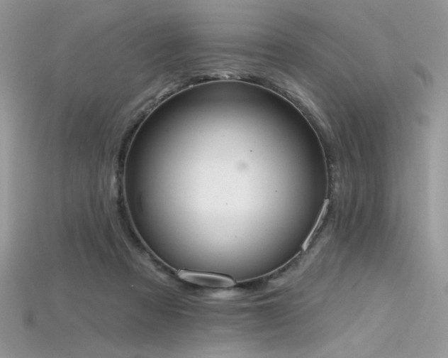 X0000115710313200911121431