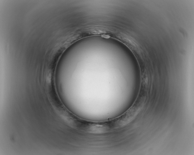 X0000115710315200911121431