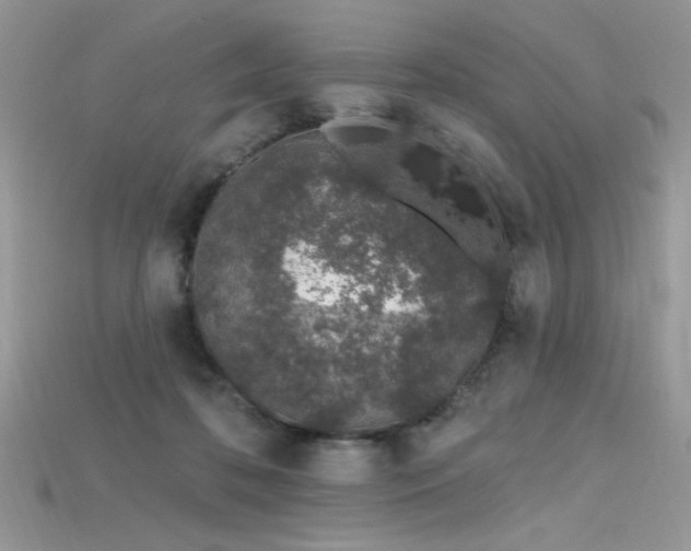 X0000115710316200911121431