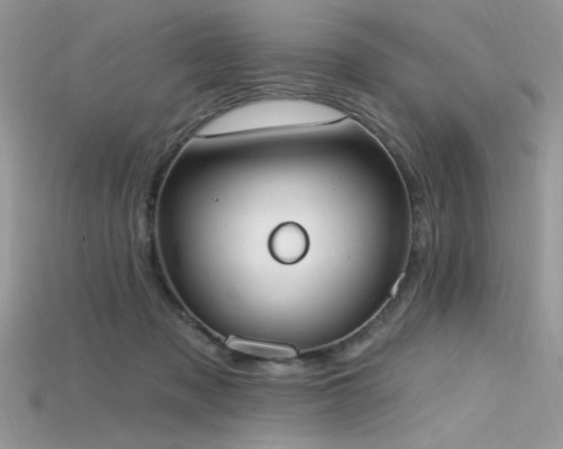 X0000115710317200911121431