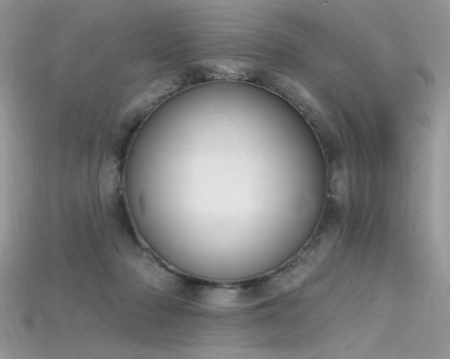 X0000115710318200911121431