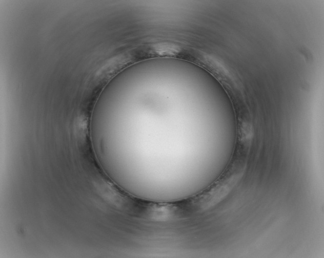 X0000115710321200911121431