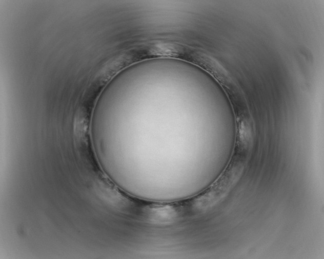 X0000115710322200911121431