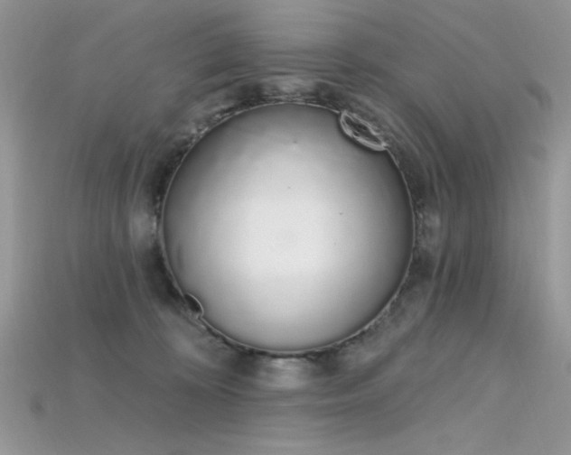 X0000115710324200911121431