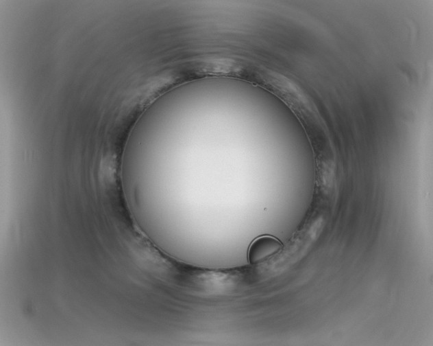 X0000115710326200911121431