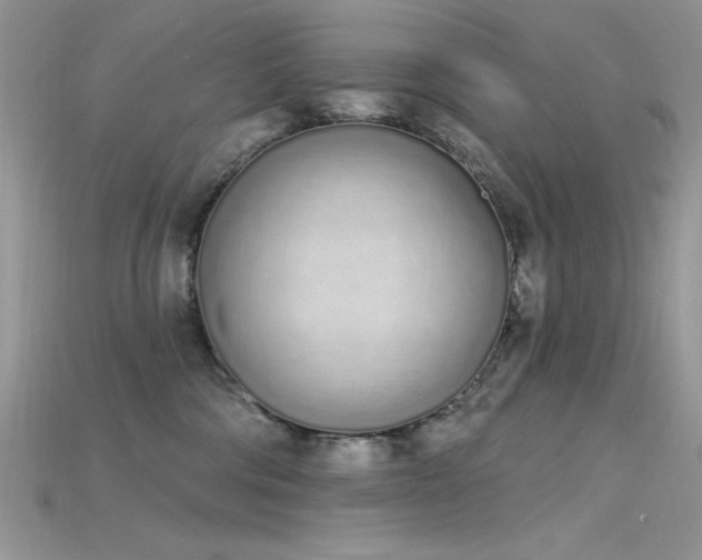 X0000115710330200911121431