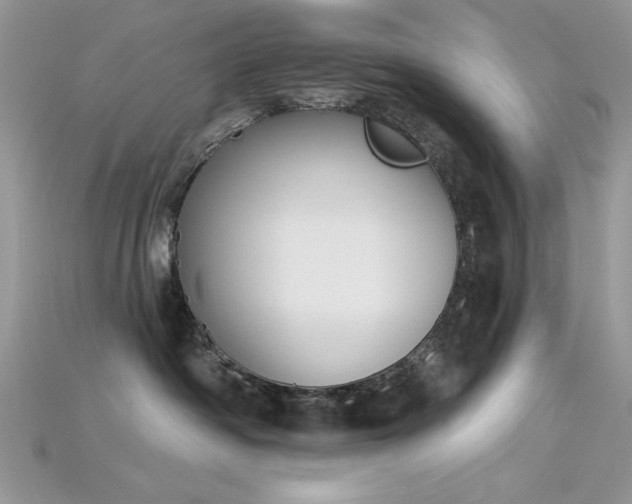 X0000115710334200911121431