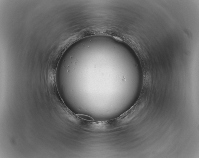 X0000115710335200911121431