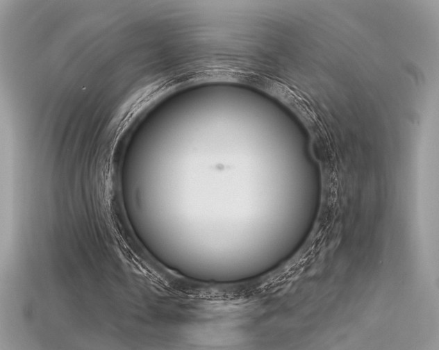 X0000115710338200911121430