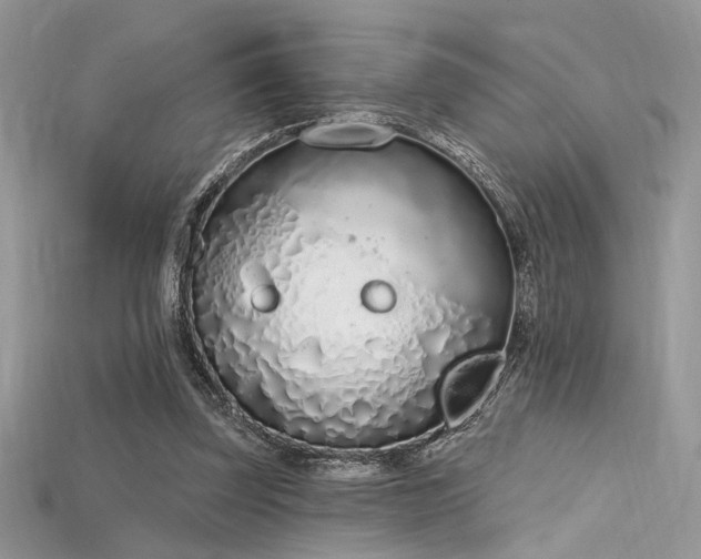 X0000115710347200911121430