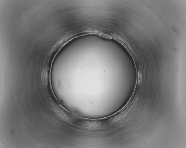 X0000115710349200911121430