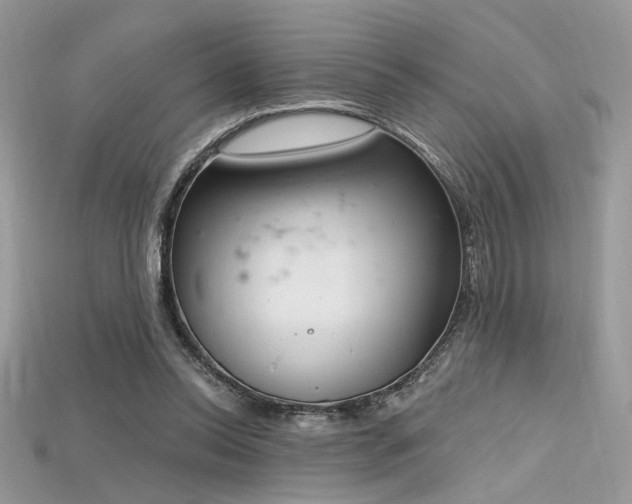 X0000115710350200911121430