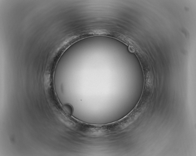 X0000115710351200911121430