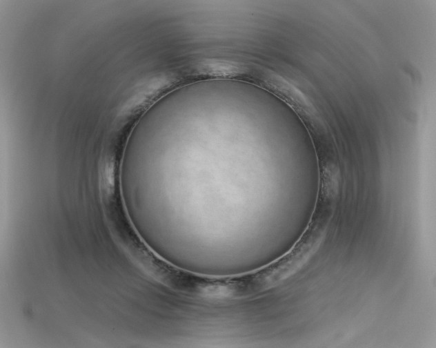 X0000115710358200911121430