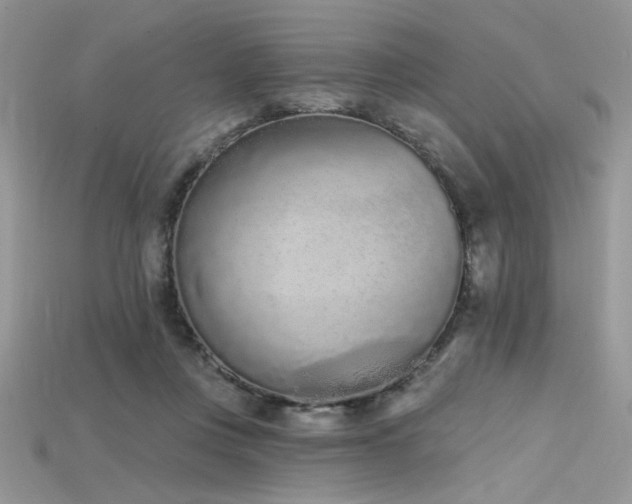 X0000115710359200911121430