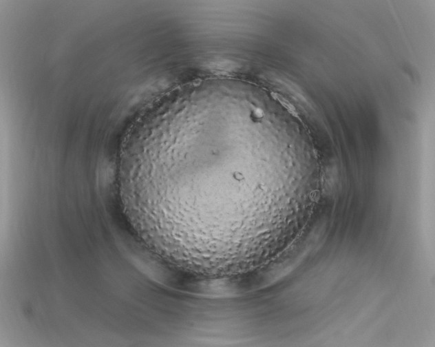 X0000115710365200911121430