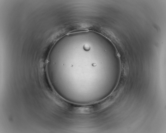 X0000115710366200911121430