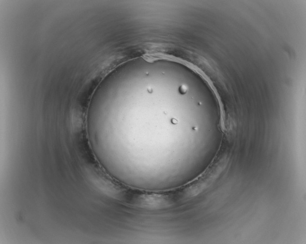 X0000115710367200911121430