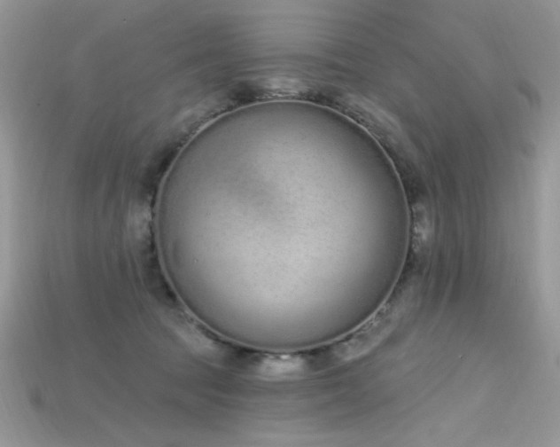 X0000115710369200911121430