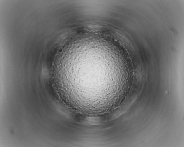 X0000115710371200911121430