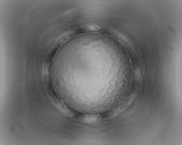 X0000115710373200911121430