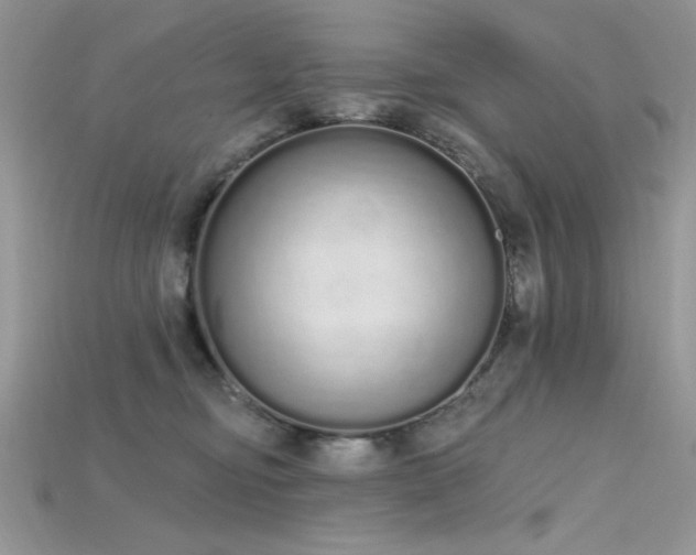 X0000115710374200911121430