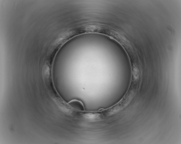 X0000115710375200911121430