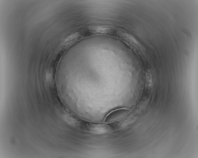 X0000115710377200911121430