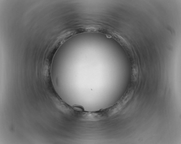 X0000115710379200911121430