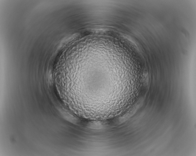 X0000115710381200911121430