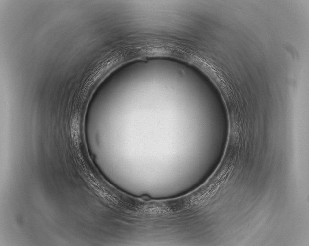 X0000115710386200911121430