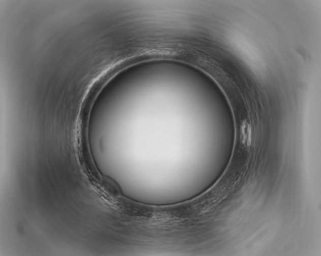 X0000115710388200911121430