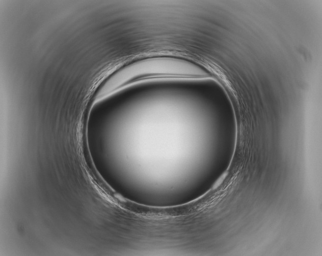 X0000115710389200911121430