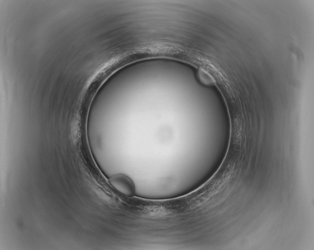 X0000115710392200911121430