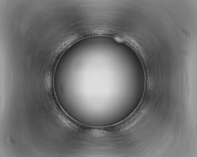 X0000115710393200911121430