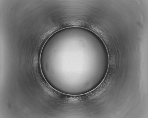 X0000115710394200911121430