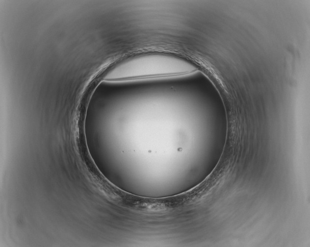 X0000115710395200911121430