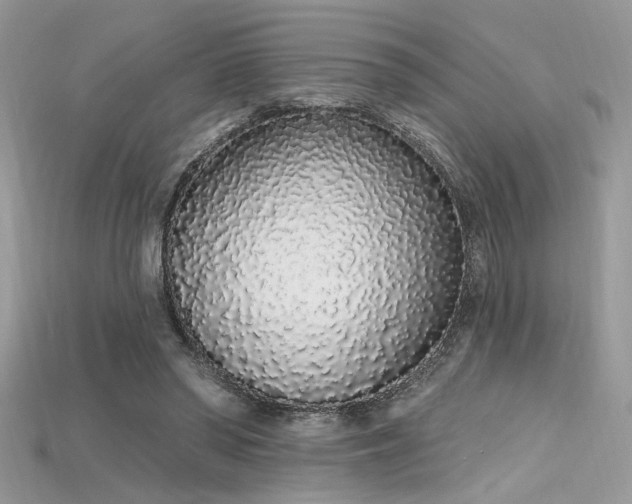 X0000115710398200911121430