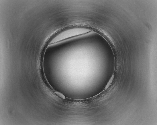 X0000115710399200911121430